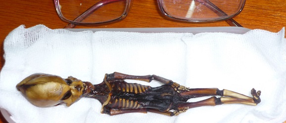 Six-Inch Skeleton Probably Wasn&#39;t 6-8 Years Old After All, Thank Goodness