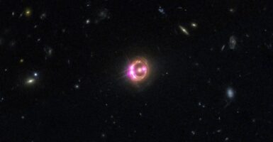 black hole dead stars