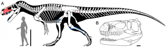 torvosaurus