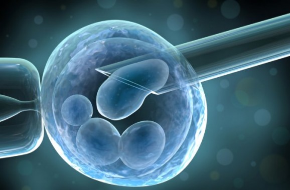 stem cell cloning
