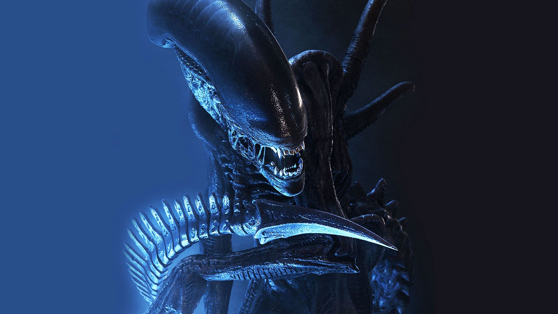 The Alien Franchise Needs To Cut Back On Xenomorphs 