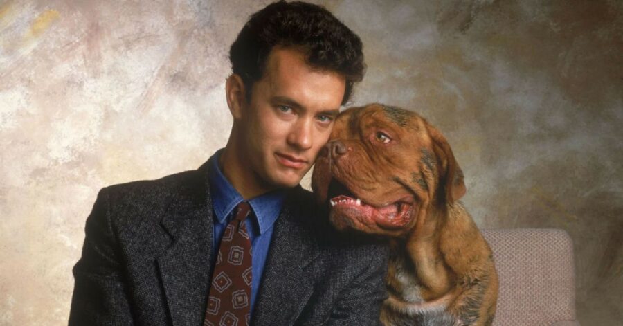 tom hanks turner and hooch