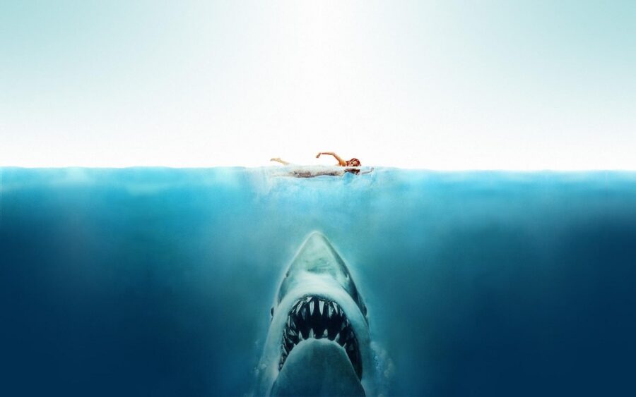 jaws