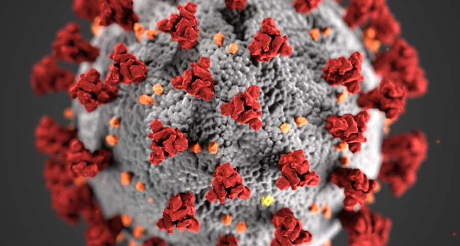 coronavirus