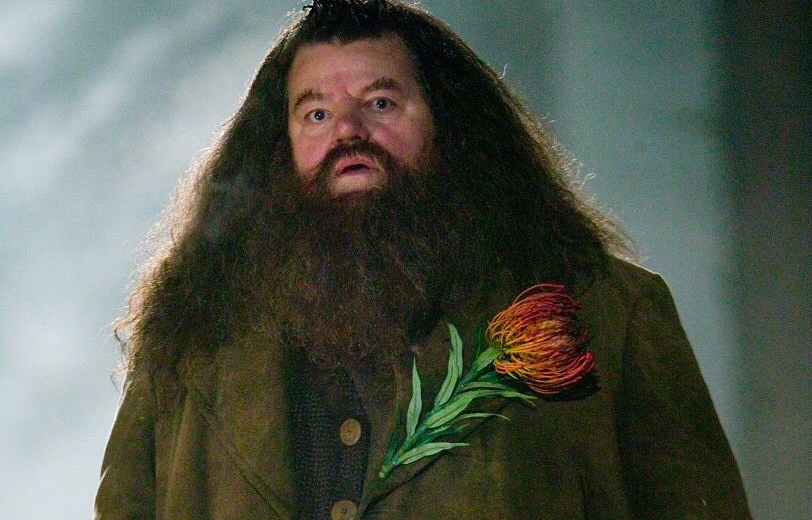 Hagrid