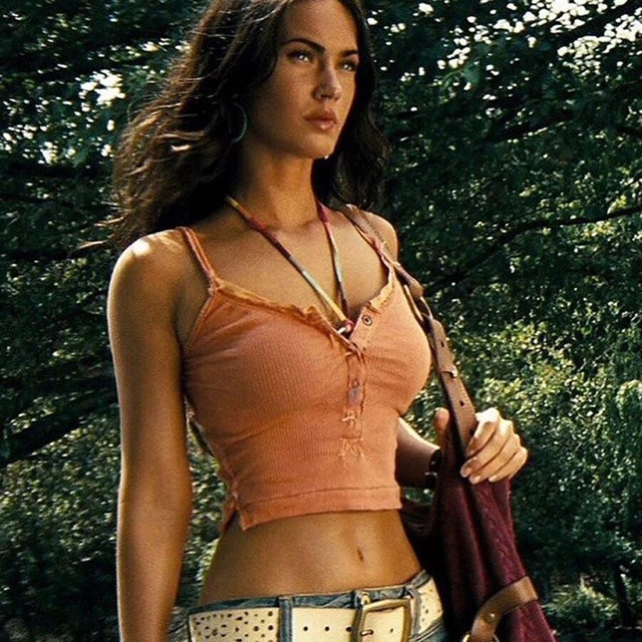 Megan Fox Wants To Join A Billion Dollar Franchise