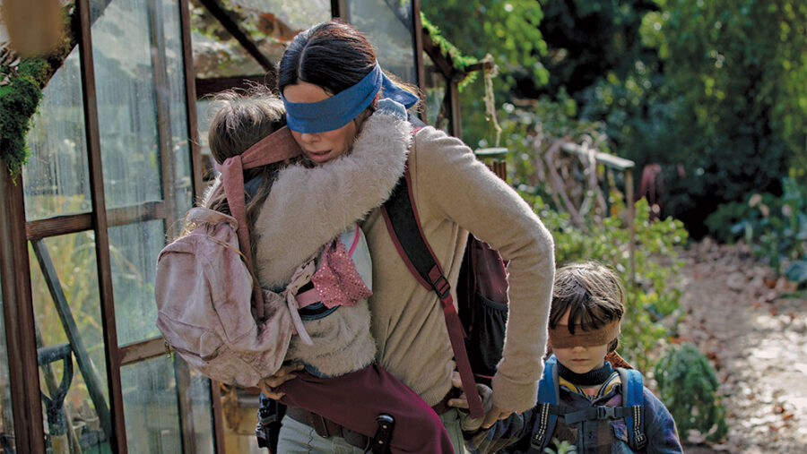 bird box sandra bullock