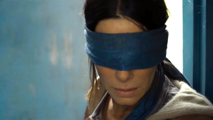 bird box