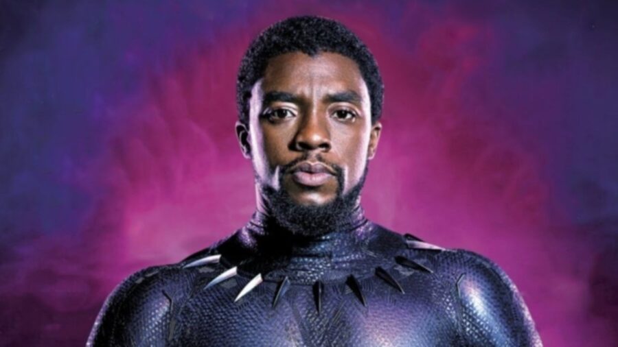 Chadwick Boseman 'Pushed' for Black Panther 2 to Move Forward Without Him,  Says Star