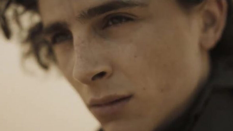 dune timothee chalamet feature