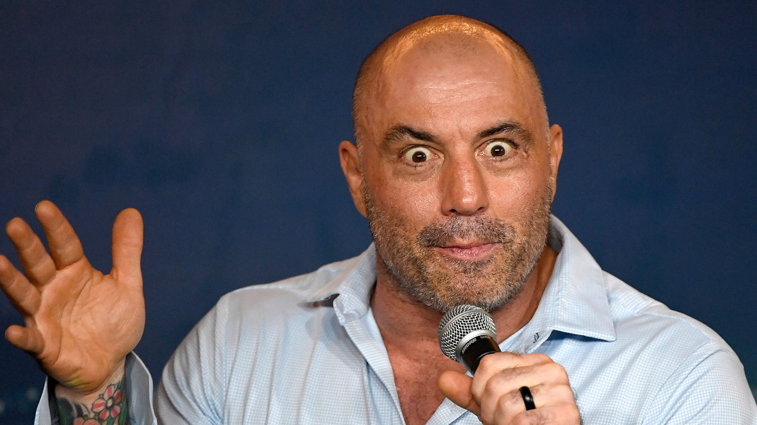 joe rogan