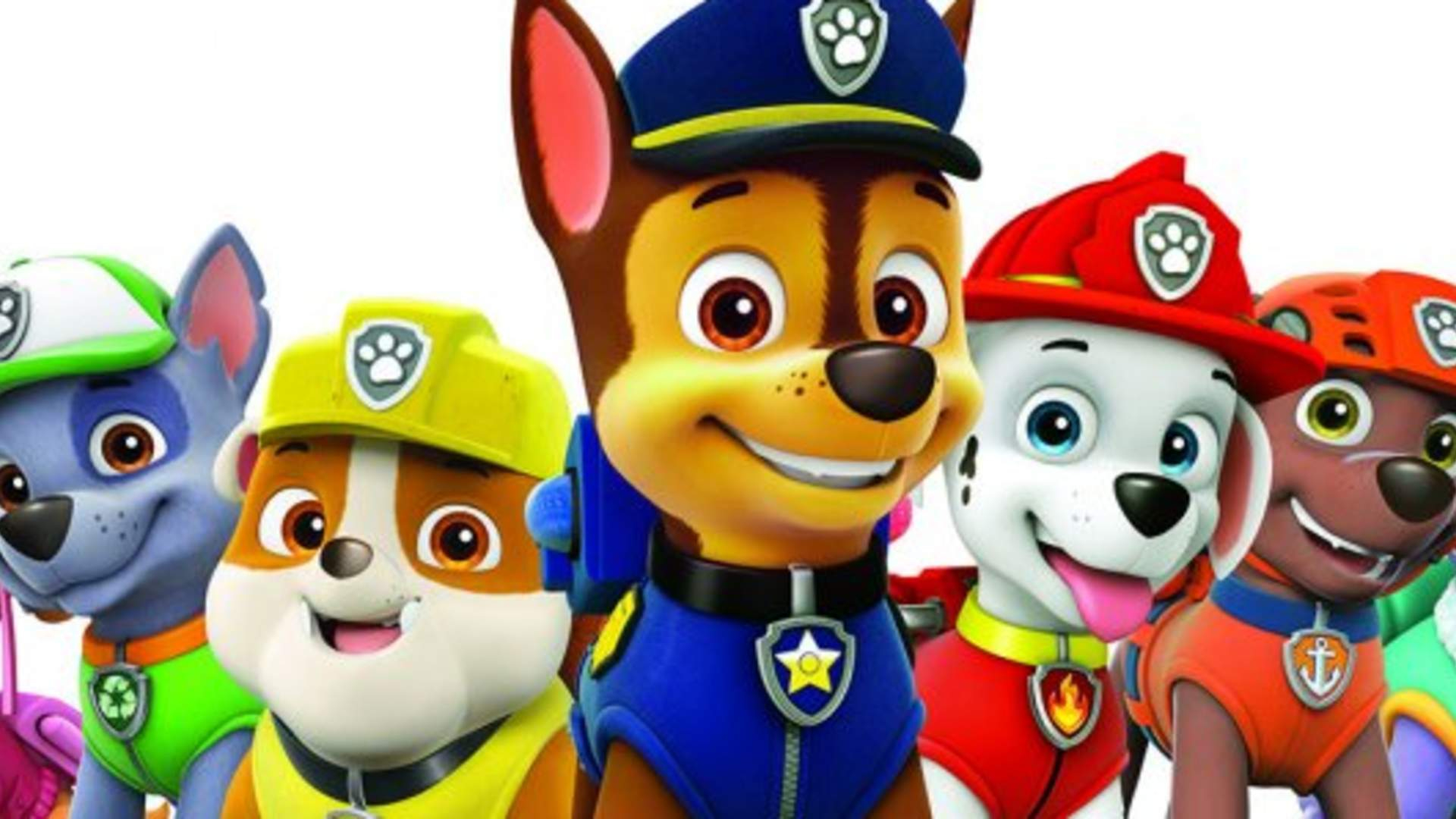 paw patrol feature
