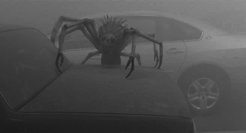 the mist spider crab gif