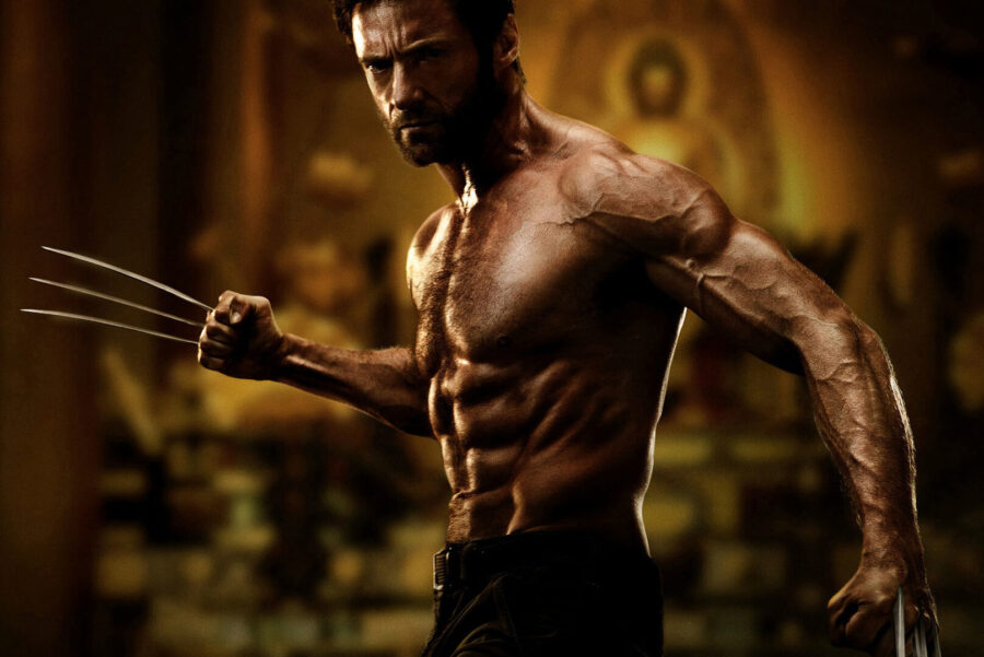 Hugh Jackman Wolverine