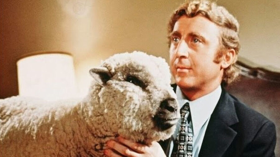 gene wilder sheep