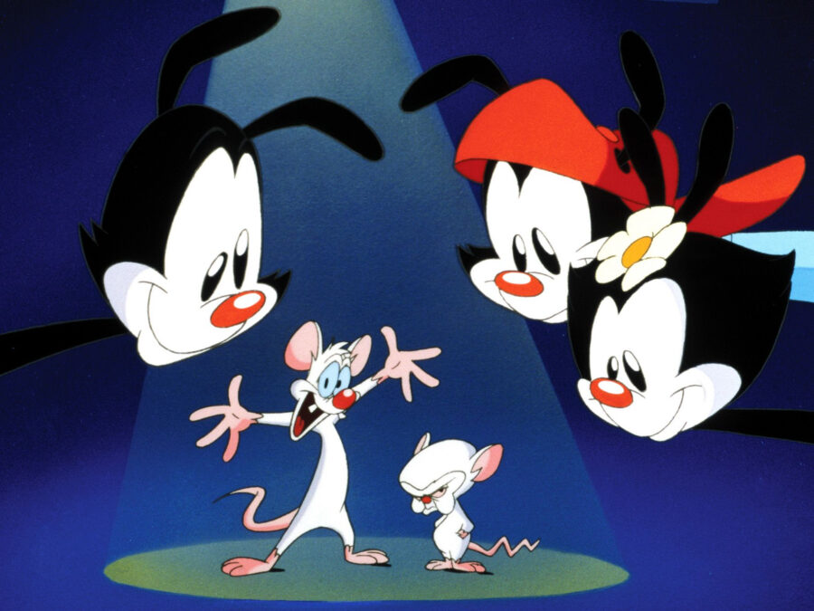 pinky and the brain animaniacs