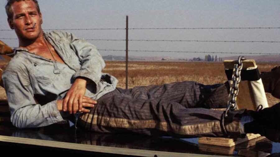 Paul Newman Cool Hand Luke