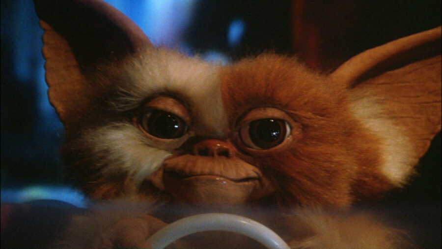 gremlins gizmo