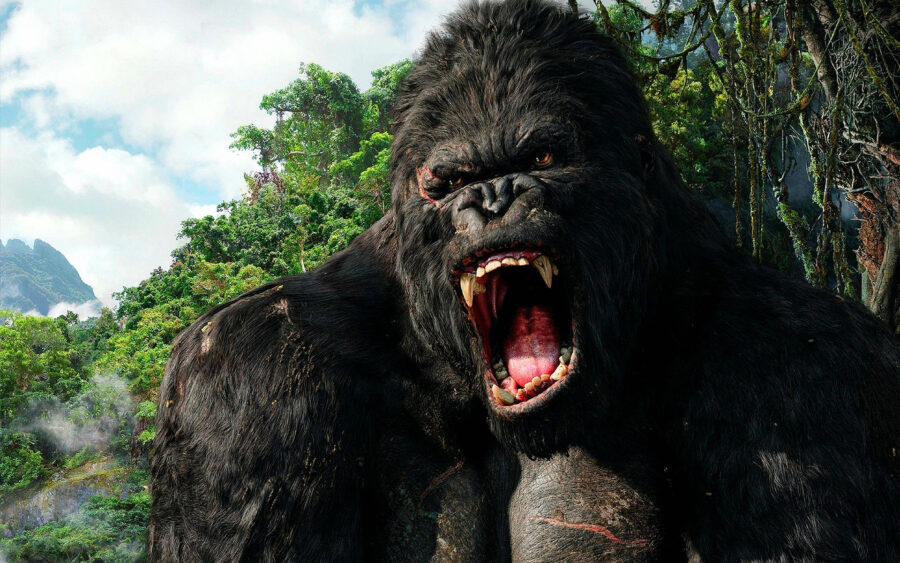 king kong