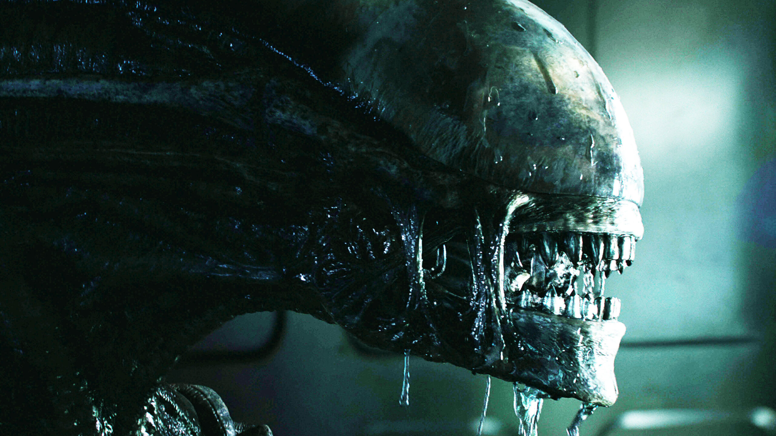 Should Disney reboot Alien vs. Predator?