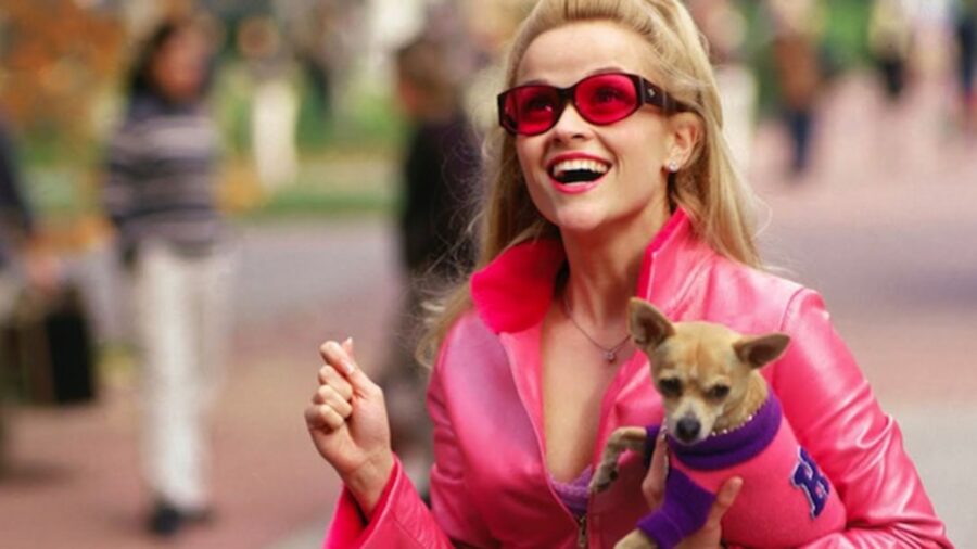 harvard for elle woods