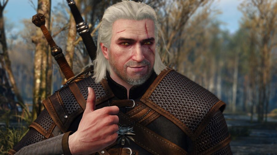 the witcher 4