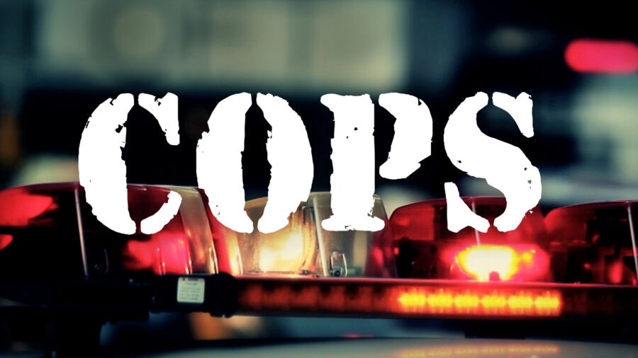 cops reality tv