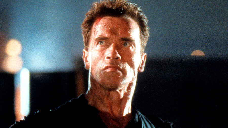 Arnold Schwarzenegger has strange thoughts about retiring Bruce Willis