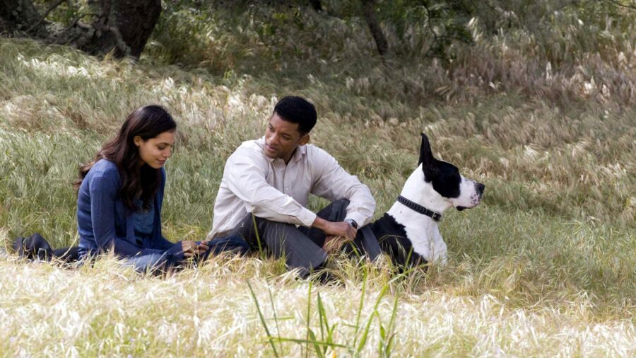 Seven Pounds Will Smith