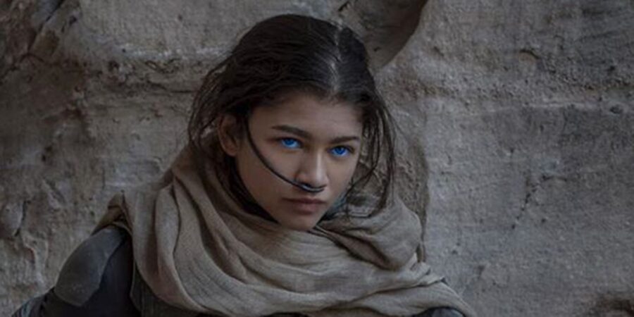 zendaya dune