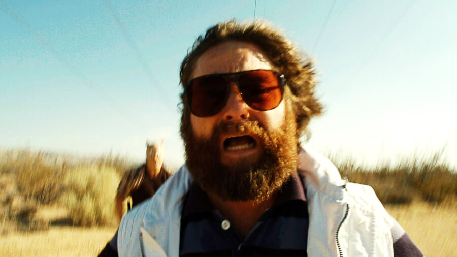 zach galifianakis