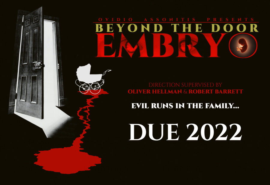 beyond the door embryo