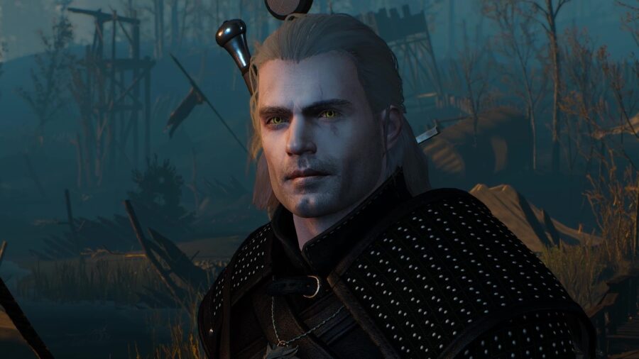 the witcher 3