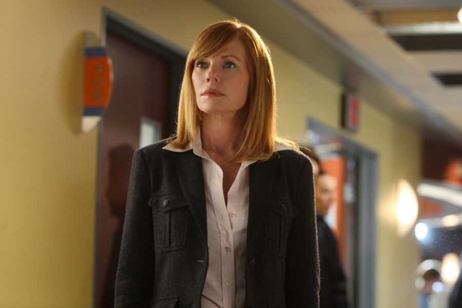 csi marg helgenberger catherine willows