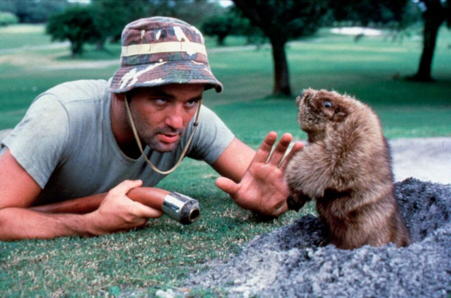 Bill Murray caddyshack