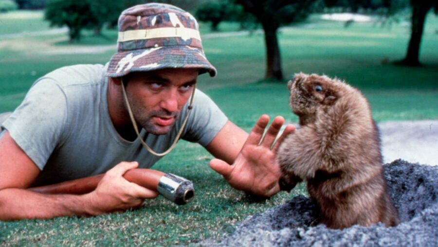 Bill Murray caddyshack gopher