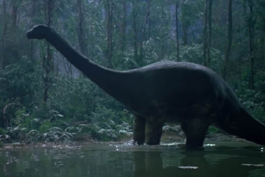 Scientists Are Searching For Living Dinosaurs In The Congo