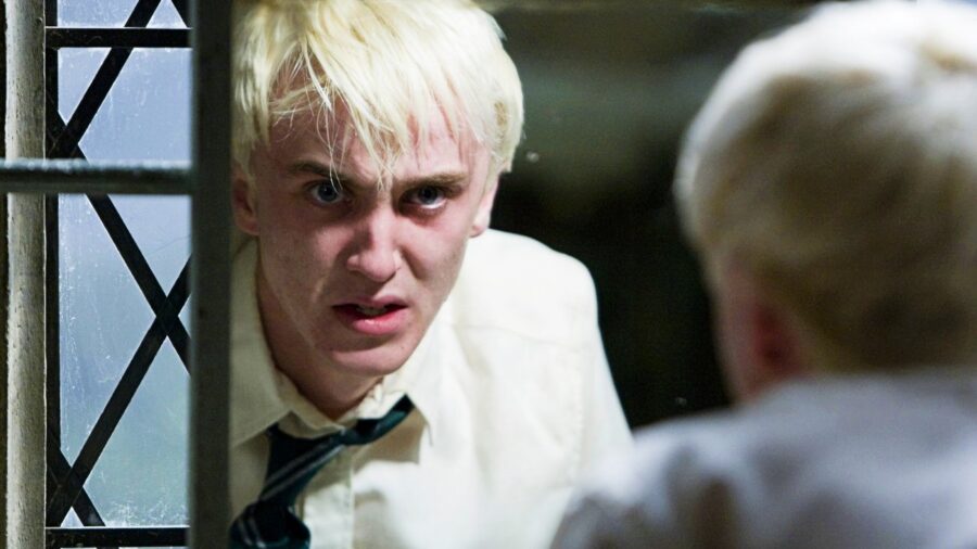 Harry Potter: What Happened To Draco Malfoy After Hogwarts?