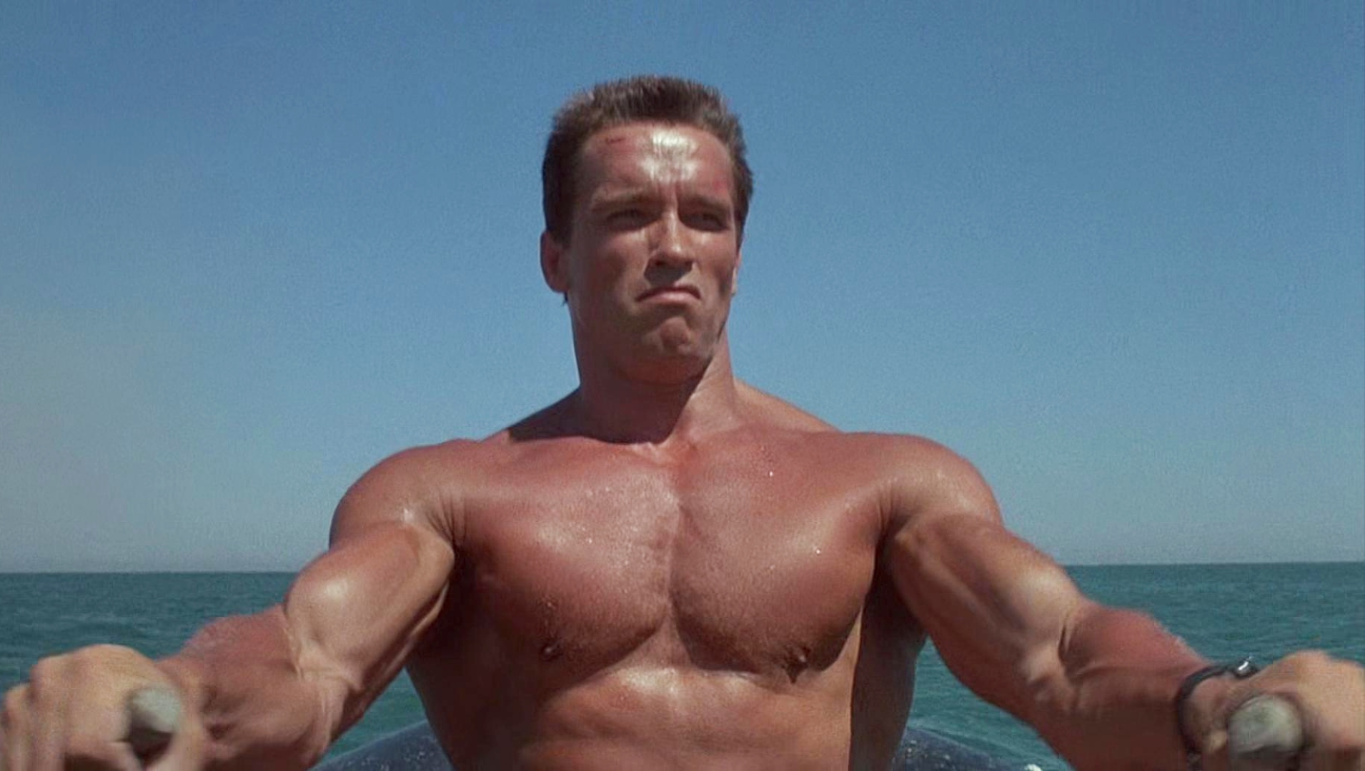 arnold schwarzenegger