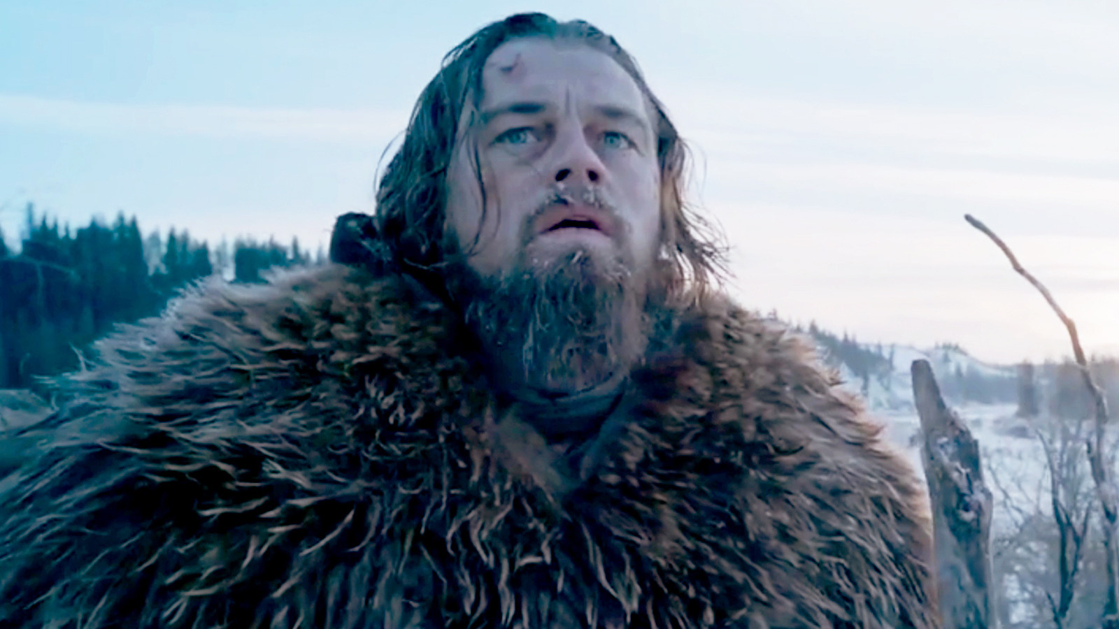 Leonardo DiCaprio in a scene from The Revenant