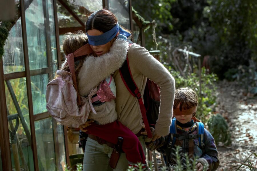 bird box