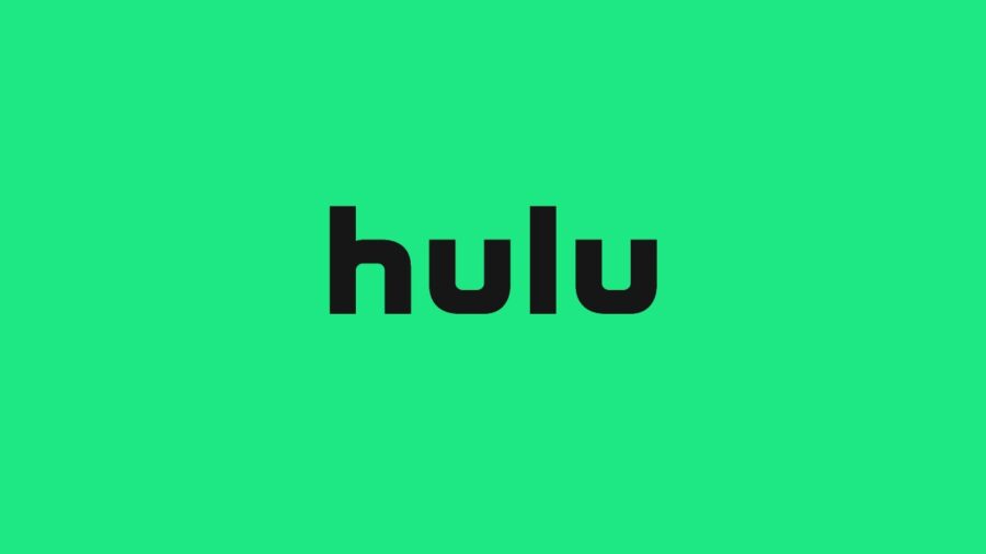 hulu the bear