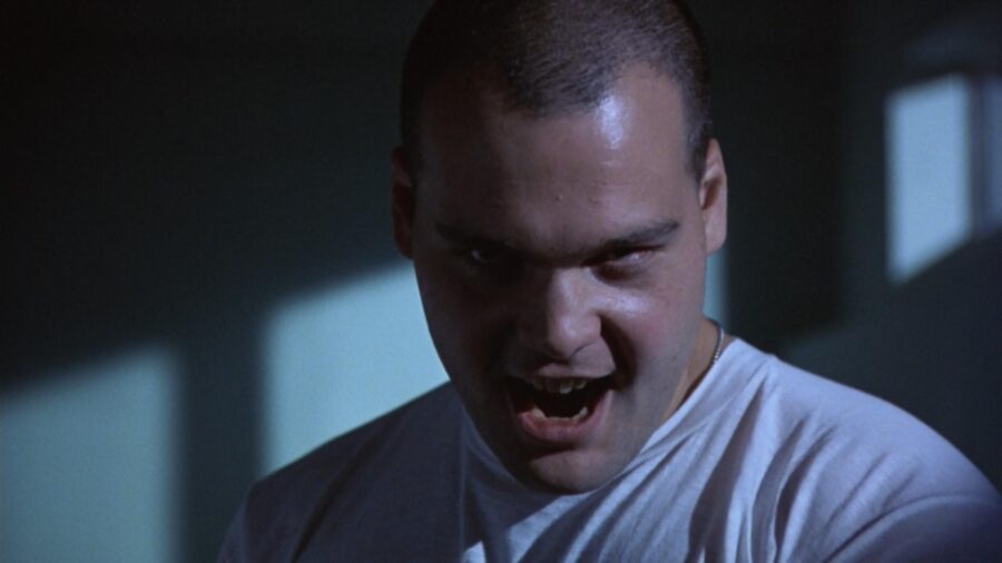 vincent d'onofrio