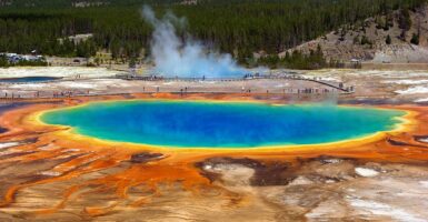 yellowstone dismembered foot
