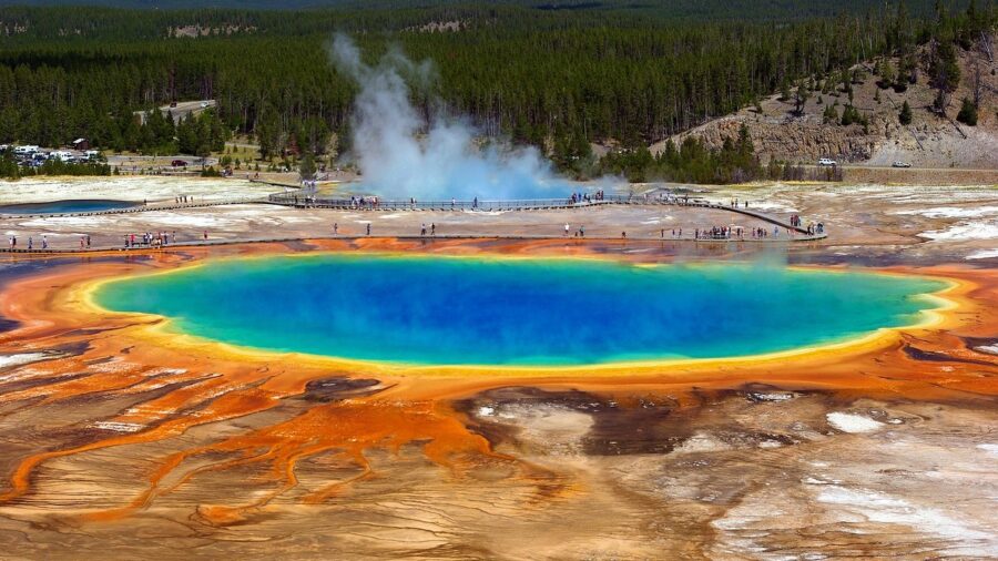 yellowstone dismembered foot