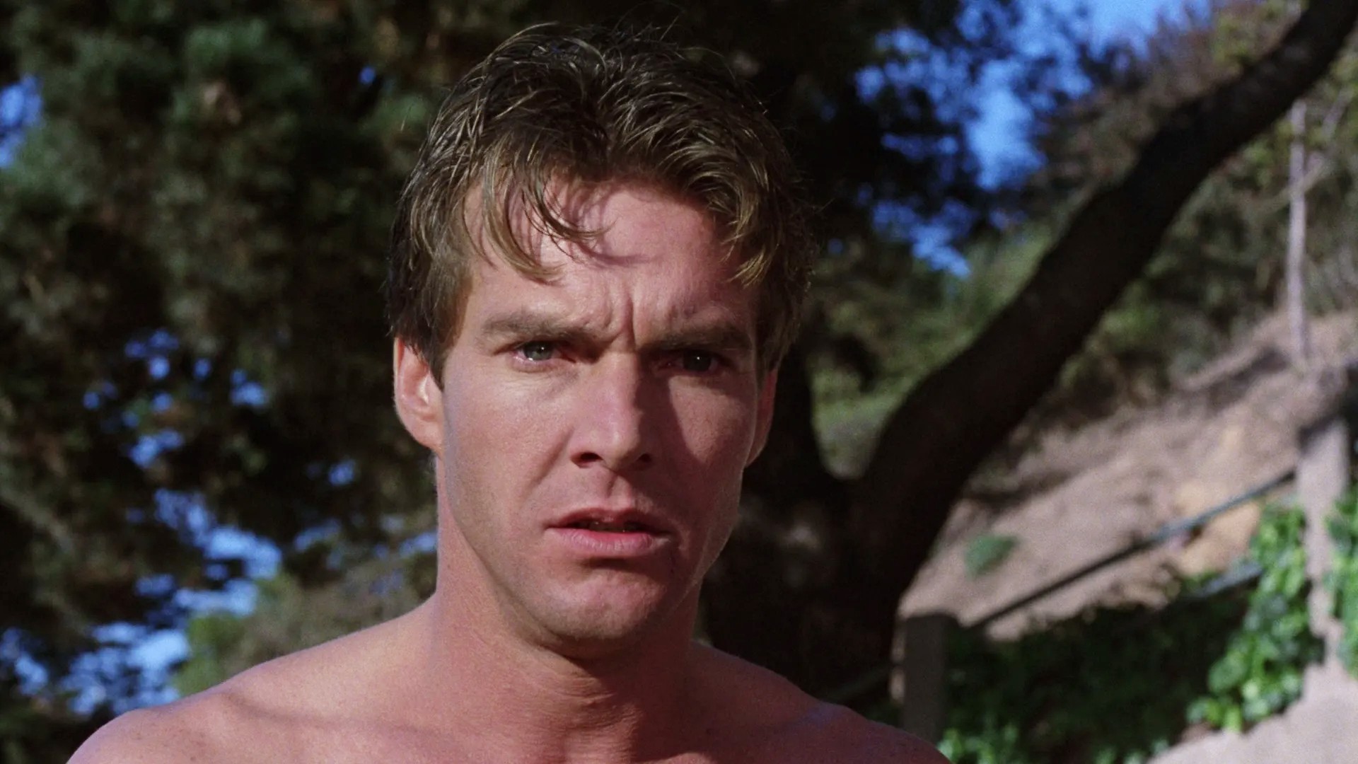 dennis quaid