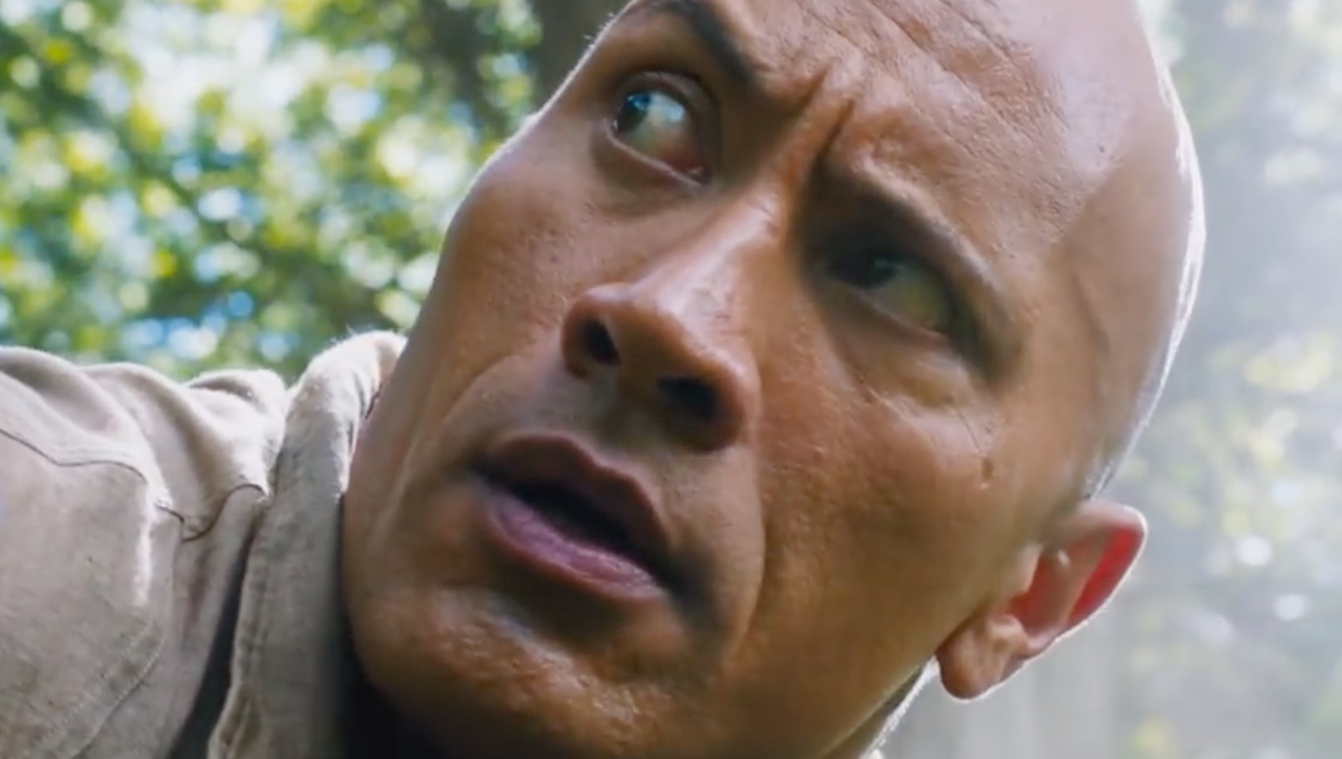 dwayne johnson box office