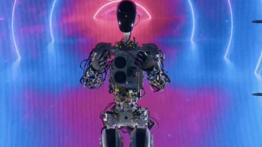 elon musk tesla bot