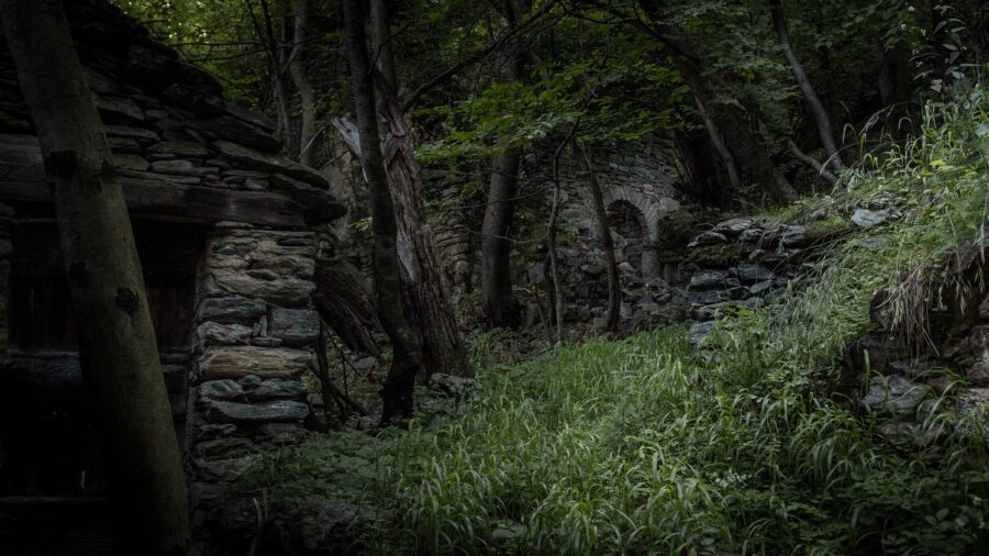 tasmanian tiger ruins