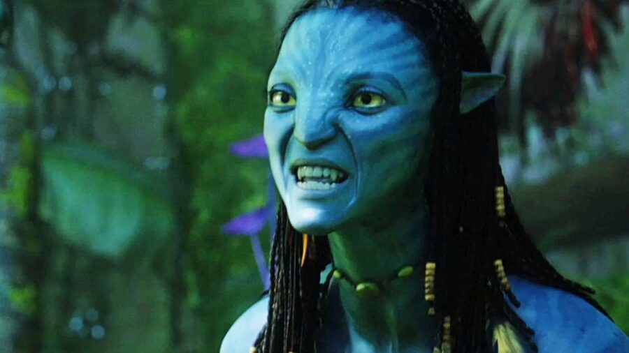 Zoe Saldana  The Avatar by James Cameron Guide  IGN